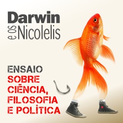 Campinas - Bateria - gosta de Rock-Alternativo-/-Moderno procurando por Contrabaixo