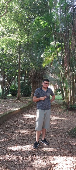 Praia Grande - Teclado - gosta de Outros procurando por Teclado